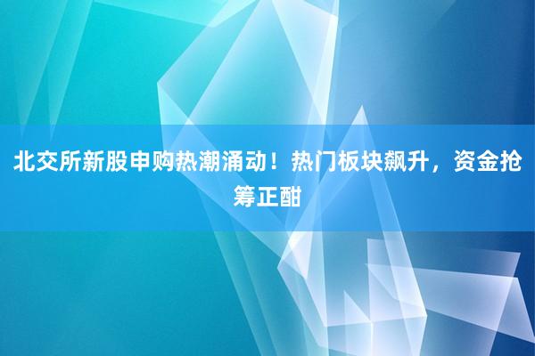 北交所新股申购热潮涌动！热门板块飙升，资金抢筹正酣